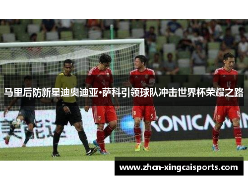 马里后防新星迪奥迪亚·萨科引领球队冲击世界杯荣耀之路
