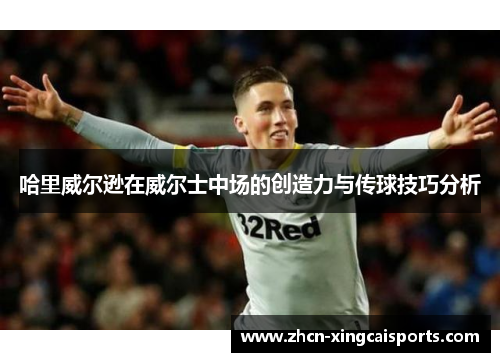 哈里威尔逊在威尔士中场的创造力与传球技巧分析