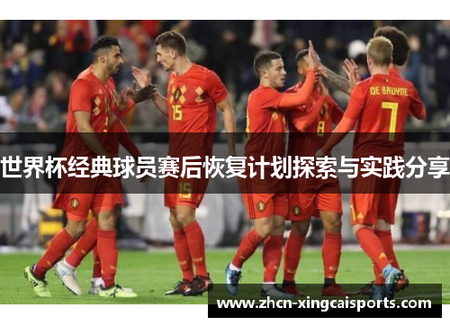 世界杯经典球员赛后恢复计划探索与实践分享
