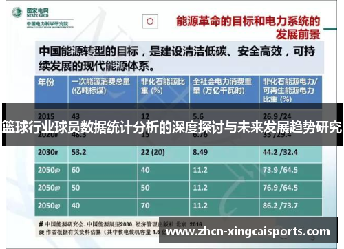 篮球行业球员数据统计分析的深度探讨与未来发展趋势研究