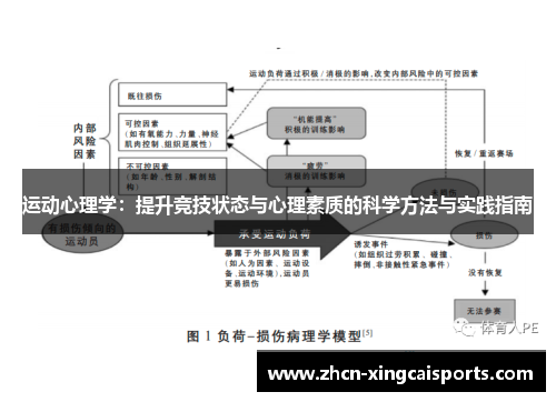 运动心理学：提升竞技状态与心理素质的科学方法与实践指南