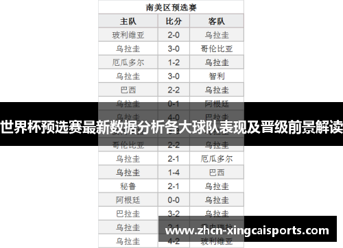 世界杯预选赛最新数据分析各大球队表现及晋级前景解读