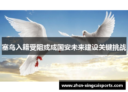 塞鸟入籍受阻或成国安未来建设关键挑战