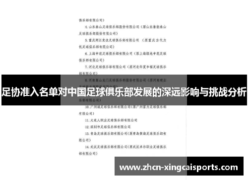 足协准入名单对中国足球俱乐部发展的深远影响与挑战分析